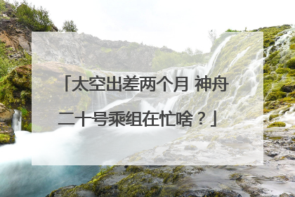 太空出差两个月 神舟二十号乘组在忙啥？