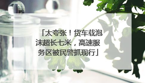 太夸张！货车载泡沫超长七米，高速服务区被民警抓现行