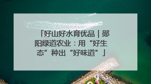 好山好水育优品｜郧阳绿道农业：用“好生态”种出“好味道”