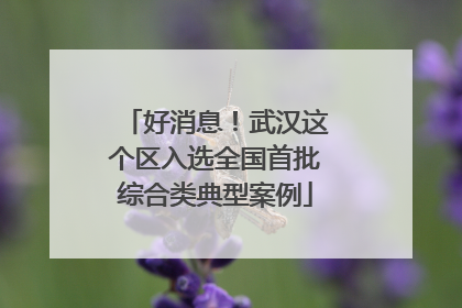 好消息！武汉这个区入选全国首批综合类典型案例