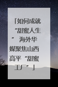 如何成就“甜蜜人生” 海外华媒聚焦山西高平“甜蜜工厂”