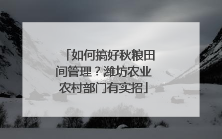 如何搞好秋粮田间管理？潍坊农业农村部门有实招