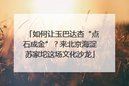 如何让玉巴达杏“点石成金”？来北京海淀苏家坨这场文化沙龙