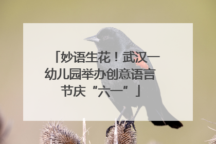 妙语生花！武汉一幼儿园举办创意语言节庆“六一”