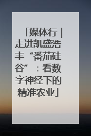 媒体行｜走进凯盛浩丰“番茄硅谷”：看数字神经下的精准农业
