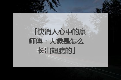 快消人心中的康师傅：大象是怎么长出翅膀的