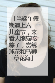 当端午假期遇上六一儿童节，来看大熊猫吃粽子，赏绣球花和马鞭草花海