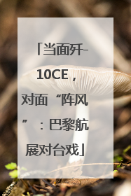 当面歼-10CE，对面“阵风”：巴黎航展对台戏