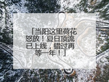 当阳这里荷花怒放！夏日顶流已上线，错过再等一年！