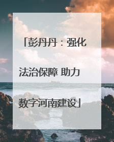 彭丹丹：强化法治保障 助力数字河南建设