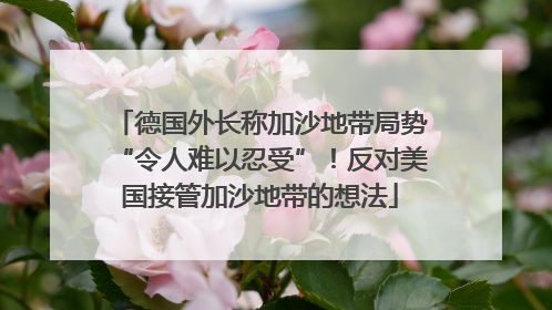 德国外长称加沙地带局势“令人难以忍受”！反对美国接管加沙地带的想法