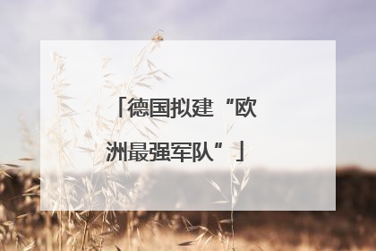 德国拟建“欧洲最强军队”