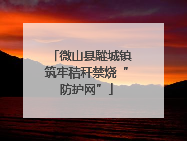 微山县驩城镇筑牢秸秆禁烧“防护网”