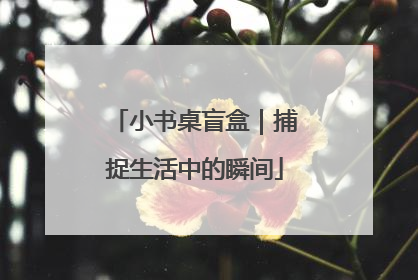 小书桌盲盒｜捕捉生活中的瞬间