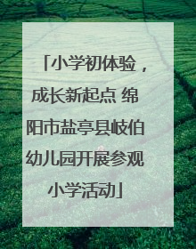 小学初体验，成长新起点 绵阳市盐亭县岐伯幼儿园开展参观小学活动