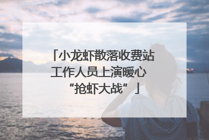 小龙虾散落收费站 工作人员上演暖心“抢虾大战”