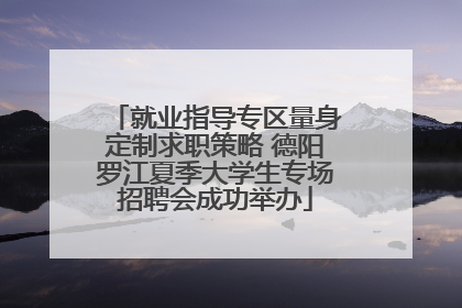 就业指导专区量身定制求职策略 德阳罗江夏季大学生专场招聘会成功举办