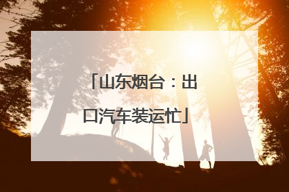 山东烟台：出口汽车装运忙