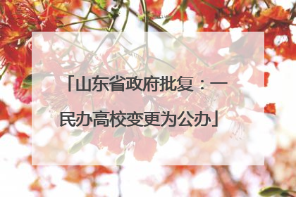 山东省政府批复：一民办高校变更为公办