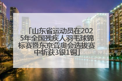 山东省运动员在2025年全国残疾人羽毛球锦标赛暨东京聋奥会选拔赛中斩获3银1铜