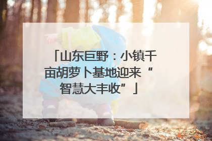 山东巨野：小镇千亩胡萝卜基地迎来“智慧大丰收”