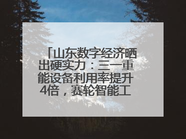 山东数字经济晒出硬实力：三一重能设备利用率提升4倍，赛轮智能工厂38秒生产一条轮胎