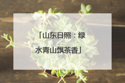 山东日照：绿水青山飘茶香