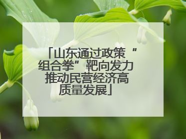 山东通过政策“组合拳”靶向发力 推动民营经济高质量发展