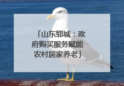 山东郓城：政府购买服务赋能农村居家养老