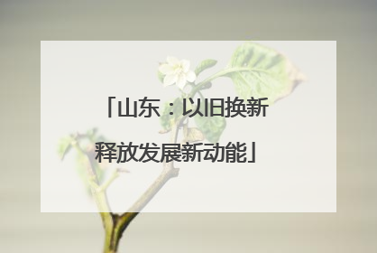 山东：以旧换新释放发展新动能