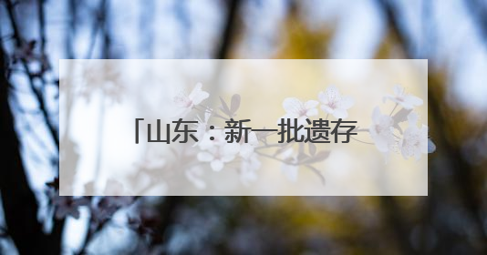 山东：新一批遗存再证老区红色岁月