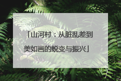 山河村：从脏乱差到美如画的蜕变与振兴