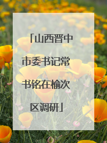 山西晋中市委书记常书铭在榆次区调研