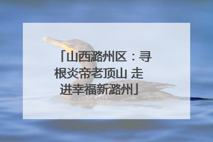 山西潞州区：寻根炎帝老顶山 走进幸福新潞州