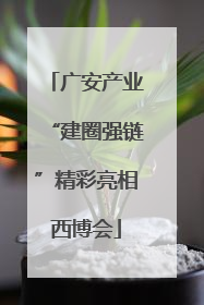 广安产业“建圈强链”精彩亮相西博会