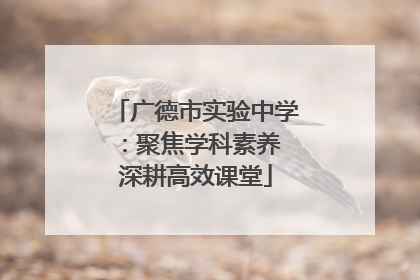 广德市实验中学：聚焦学科素养 深耕高效课堂
