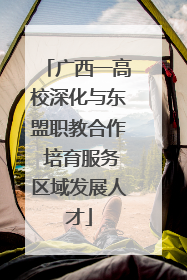 广西一高校深化与东盟职教合作 培育服务区域发展人才