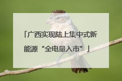 广西实现陆上集中式新能源“全电量入市”
