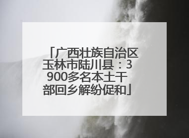 广西壮族自治区玉林市陆川县：3900多名本土干部回乡解纷促和