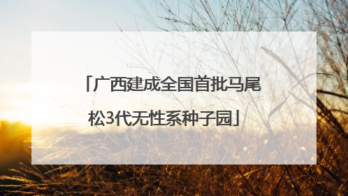 广西建成全国首批马尾松3代无性系种子园
