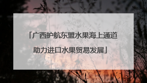 广西护航东盟水果海上通道 助力进口水果贸易发展