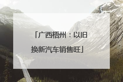 广西梧州：以旧换新汽车销售旺