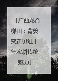 广西龙脊梯田：背篓变迁见证千年农耕传统魅力