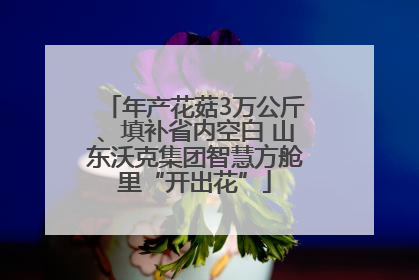 年产花菇3万公斤、填补省内空白 山东沃克集团智慧方舱里“开出花”