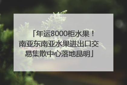 年运8000柜水果！南亚东南亚水果进出口交易集散中心落地昆明