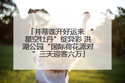 并蒂莲开好运来 “星空牡丹”绽异彩 洪湖公园“国际荷花派对”三天迎客六万