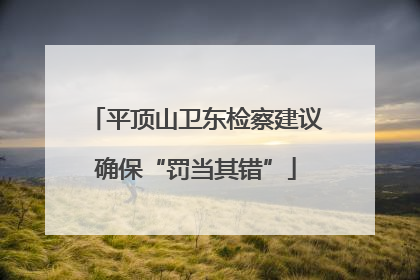 平顶山卫东检察建议确保“罚当其错”