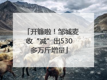开镰啦！邹城麦收“减”出530多万斤增量