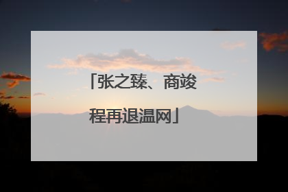 张之臻、商竣程再退温网