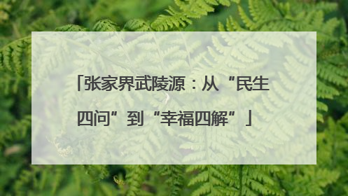 张家界武陵源：从“民生四问”到“幸福四解”